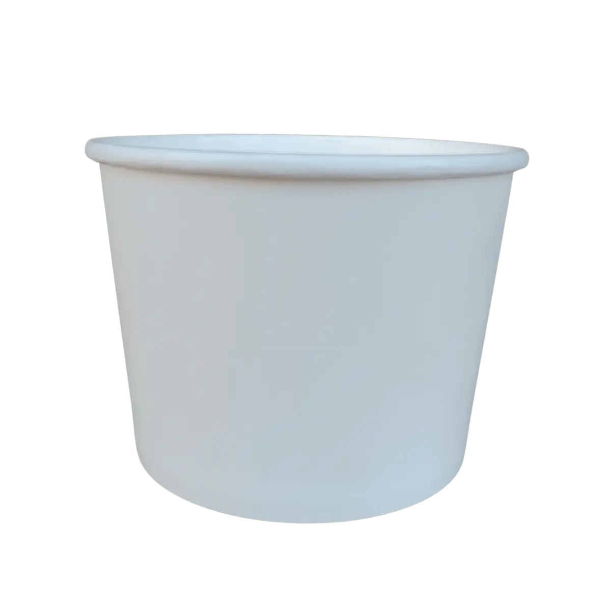 Paper Bowl